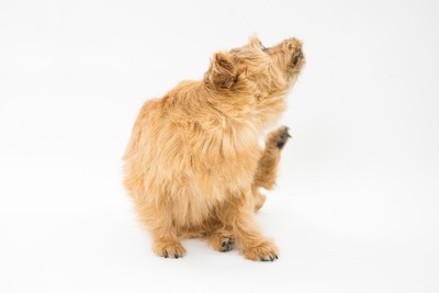 皮膚科イメージ写真