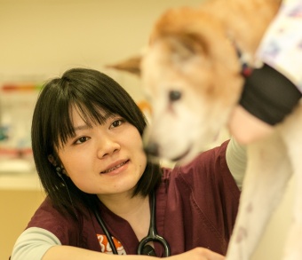 プロフィール写真:花田 紗季
