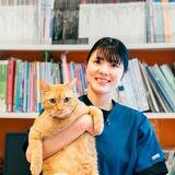 写真:藤本せら